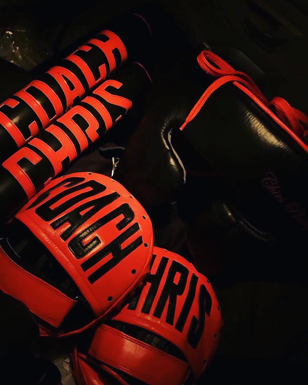 custom boxing punch mitts